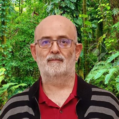 José Antonio González Ferreira