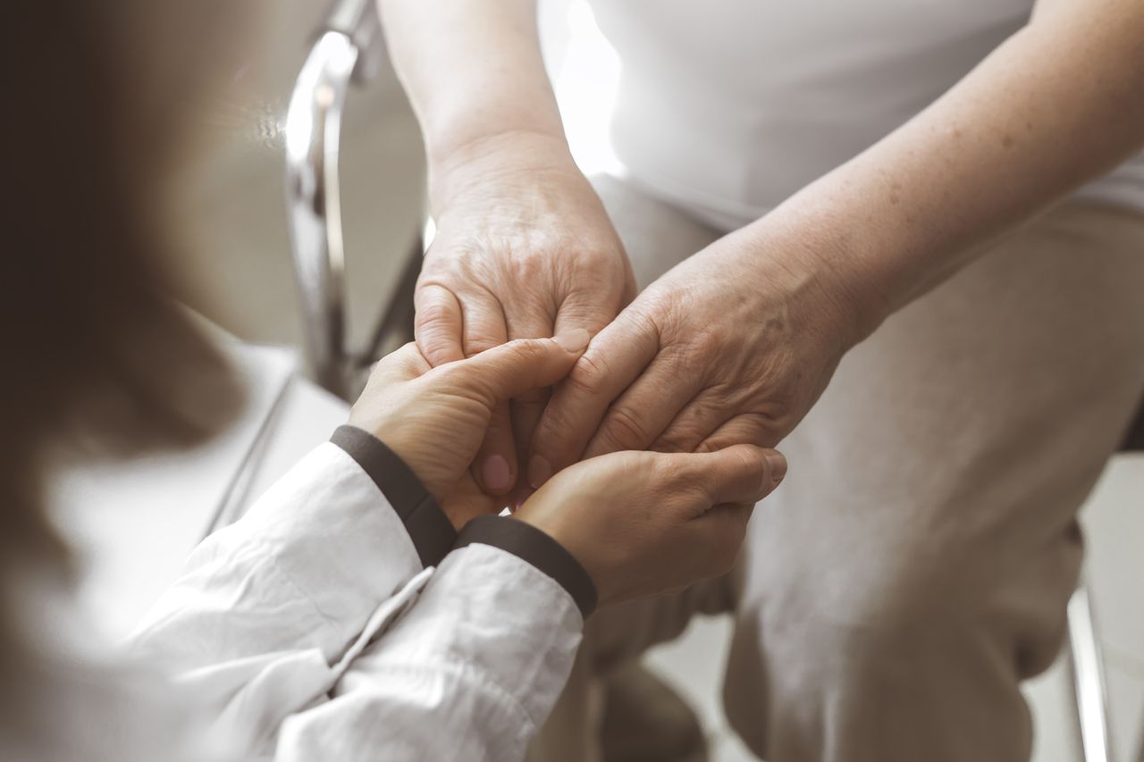 Nuestros investigadores